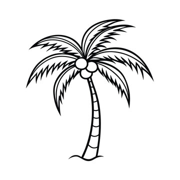 coconut tree