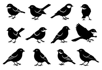 Small bird silhouette collection vector set of sparrow and robin icons in black shape © Rani