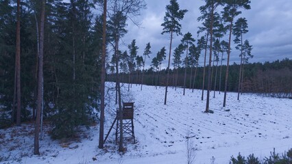 A forest hunting stand on the edge of a clear-cut forest during winter