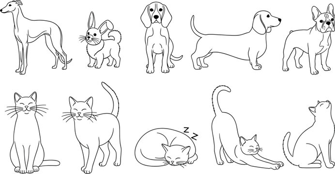 Large set of domestic pet line art including various dog breeds and cats in different poses isolated on white background for coloring book.