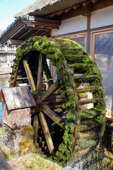 苔むした木製の水車と茅葺き屋根の日本家屋