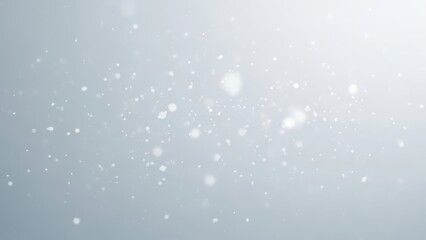 Fototapeta premium Soft focus background with floating white particles abstract bokeh