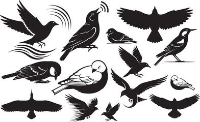 Obraz premium Silhouette of various birds isolated on transparent background bird silhouettes collection