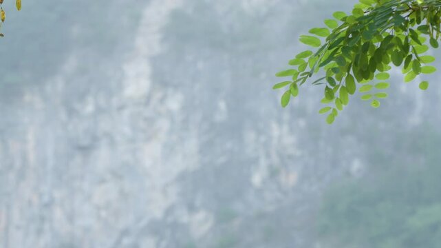 구름, 날씨, 여름, 공기, 네이처, 흐린, 천국, 기운, 경관, 태양, 하늘, 파랑