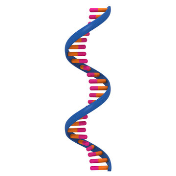 3d rendering of a detailed RNA single helix structure on transparent background
