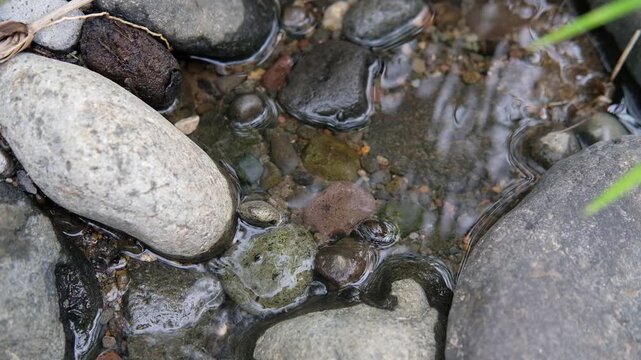 Java, Indonesia, South East Asia: Crystal Clear River With Rocks Under Sunny Sky