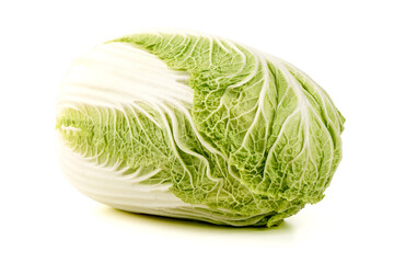 Fototapeta premium Napa Cabbage Isolated on White Background