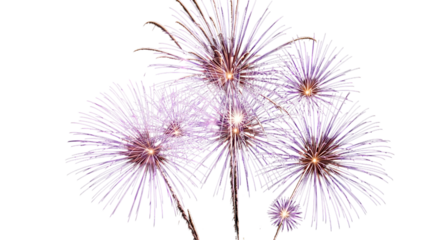 Vibrant fireworks exploding in the night sky creating a dazzling display of light and color.