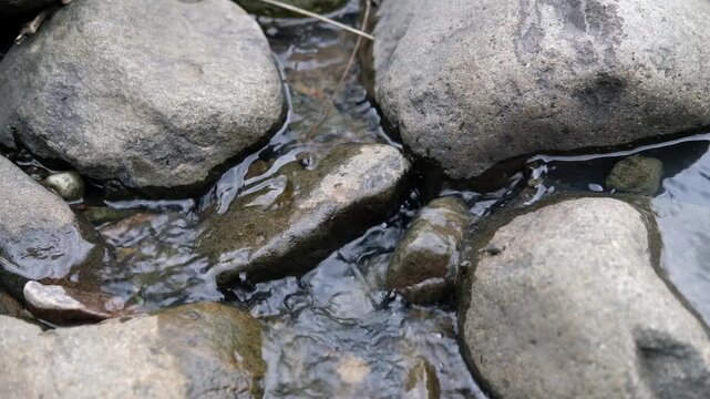 Java, Indonesia, South East Asia: Sunny Day Clear River With Rocky Bottom