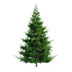 Obraz premium Realistic green Christmas tree illustration isolated on Transparent Background