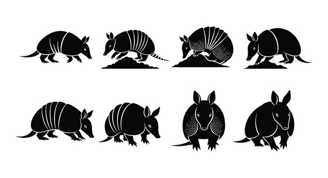 Black and white illustration depicting several armadillos in different poses