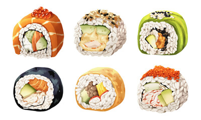 Premium realistic hand-drawn watercolor illustration set of traditional Japanese Nigiri sushi rolls and uramaki. Featuring salmon, avocado, shrimp tempura, and fish roe toppings.