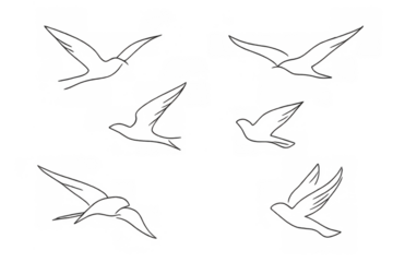 Flying line art swallows with a transparent background, representing freedom, movement, nature, and the concept of migration
