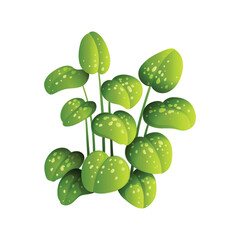 simple vector clipart, 