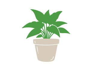 Colorful indoor plant. Doodle art of house plants in a flower pot