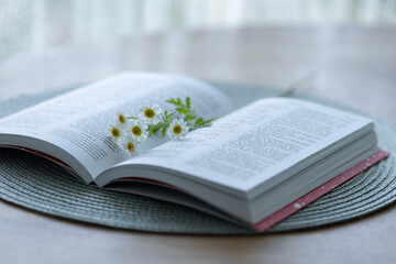New Testament opened book in Russian language on a table with white flowers on it. Holly Bible.