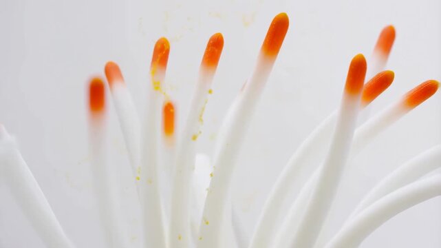 Dynamic movement of colorful swabs creating a vibrant dance in high definition