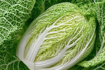 Fototapeta premium Fresh napa cabbage close-up showing texture and layers in a bright light