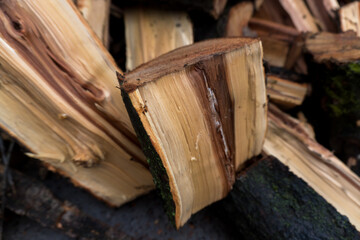 chopped fruit firewood for heating the house or for cooking meat on the grill