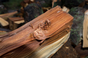 chopped fruit firewood for heating the house or for cooking meat on the grill