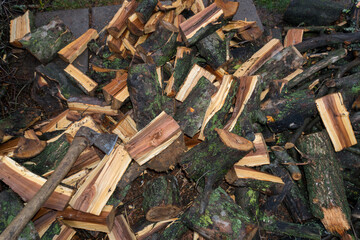 chopped fruit firewood for heating the house or for cooking meat on the grill