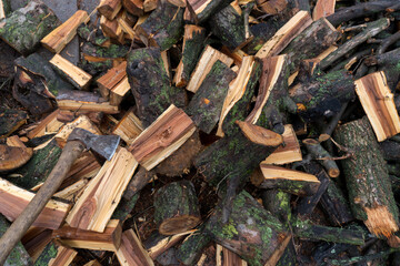 chopped fruit firewood for heating the house or for cooking meat on the grill