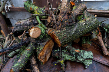 chopped fruit firewood for heating the house or for cooking meat on the grill