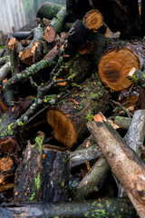 chopped fruit firewood for heating the house or for cooking meat on the grill