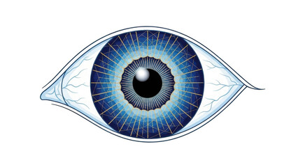Detailed eye illustration