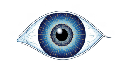 Detailed eye illustration