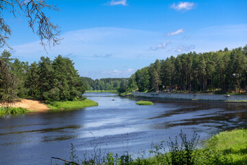 The Medveditsa River in the Tver region on a sunny summer day