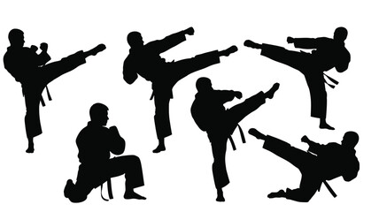 Martial arts poses in black dynamic kick stances a striking silhouette