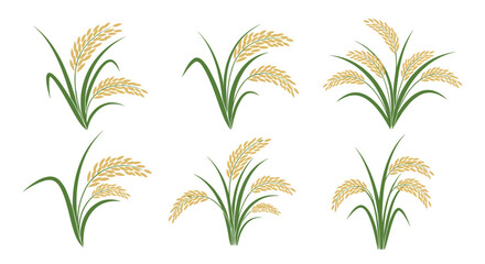 Collection of realistic illustrations of golden rice ears with green leaves in different cluster arrangements on a white background.