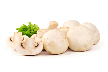 White Mushrooms with Lettuce, isolated on white background