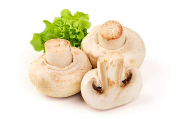 Agaricus Mushrooms with Lettuce, isolated on white background
