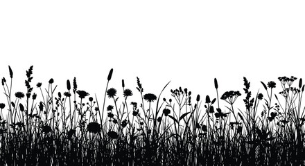 Detailed black silhouette of a meadow with tall grass and wildflowers growing across the horizon on white background.