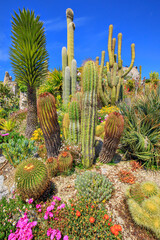 Le jardin exotique de &egrave;ze