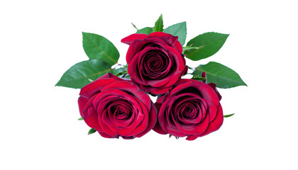 Three red roses with green leaves clustered together on a white background floral arrangement png with transparency