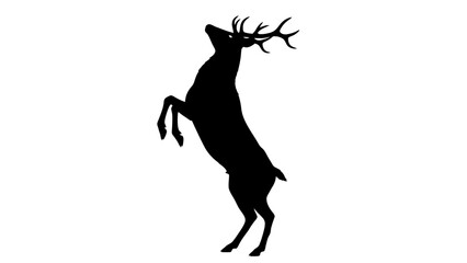 Obraz premium Reaching Stag Silhouette: Majestic Deer Rearing Up Against White Background