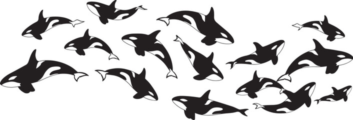 Set of swimming orca whales isolated on transparent background © GraphicGrove