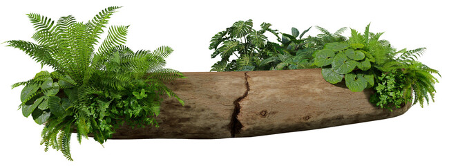 3D render of a garden decorated with tree stumps and tropical plants against a transparent background