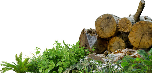 3D render of a garden decorated with tree stumps and tropical plants against a transparent background