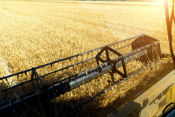 Obraz premium combine harvester view through the combine window.