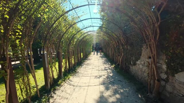 SALZBURG, AUSTRIA &ndash; OCTOBER 3, 2025: A first-person perspective walk through a long green vine trellis tunnel in Mirabell Gardens. The sunlight filters through the overhead foliage onto the gravel pat