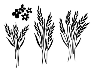 A set of wheat bouquets and flowers hand-drawn in line art style to represent cereal crops.