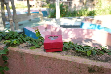 Red Heart-Shaped Gift Box on a Concrete Ledge with Green Vines