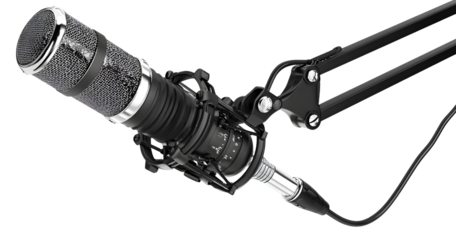 lazyaisheba_a_large_rosemary_bush_with_purple_flowers_set_again - lazyaisheba_a_golden_bar_graph_with_coins_and_a_magnifying_glas