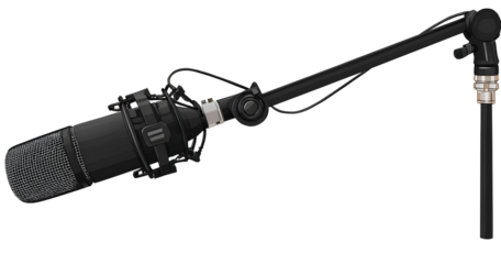 lazyaisheba_a_large_rosemary_bush_with_purple_flowers_set_again - lazyaisheba_a_golden_bar_graph_with_coins_and_a_magnifying_glas (3)