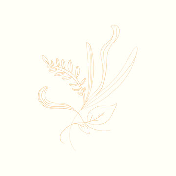 Simple Flower And Leaf line Art 