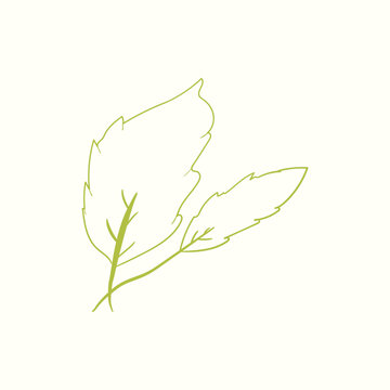 Simple Flower And Leaf line Art 